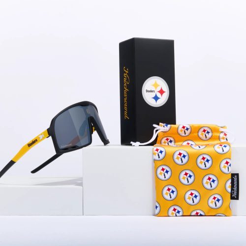 Alternative view of Pittsburgh Steelers Campeones