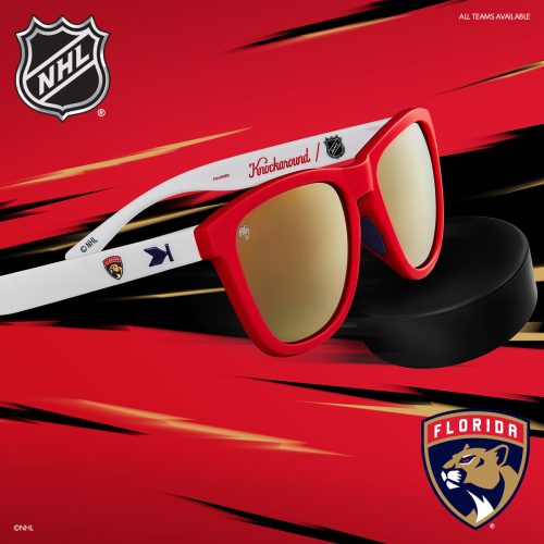 Alternative view of Florida Panthers