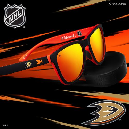 Alternative view of Anaheim Ducks