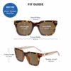 Songbirds Image 42