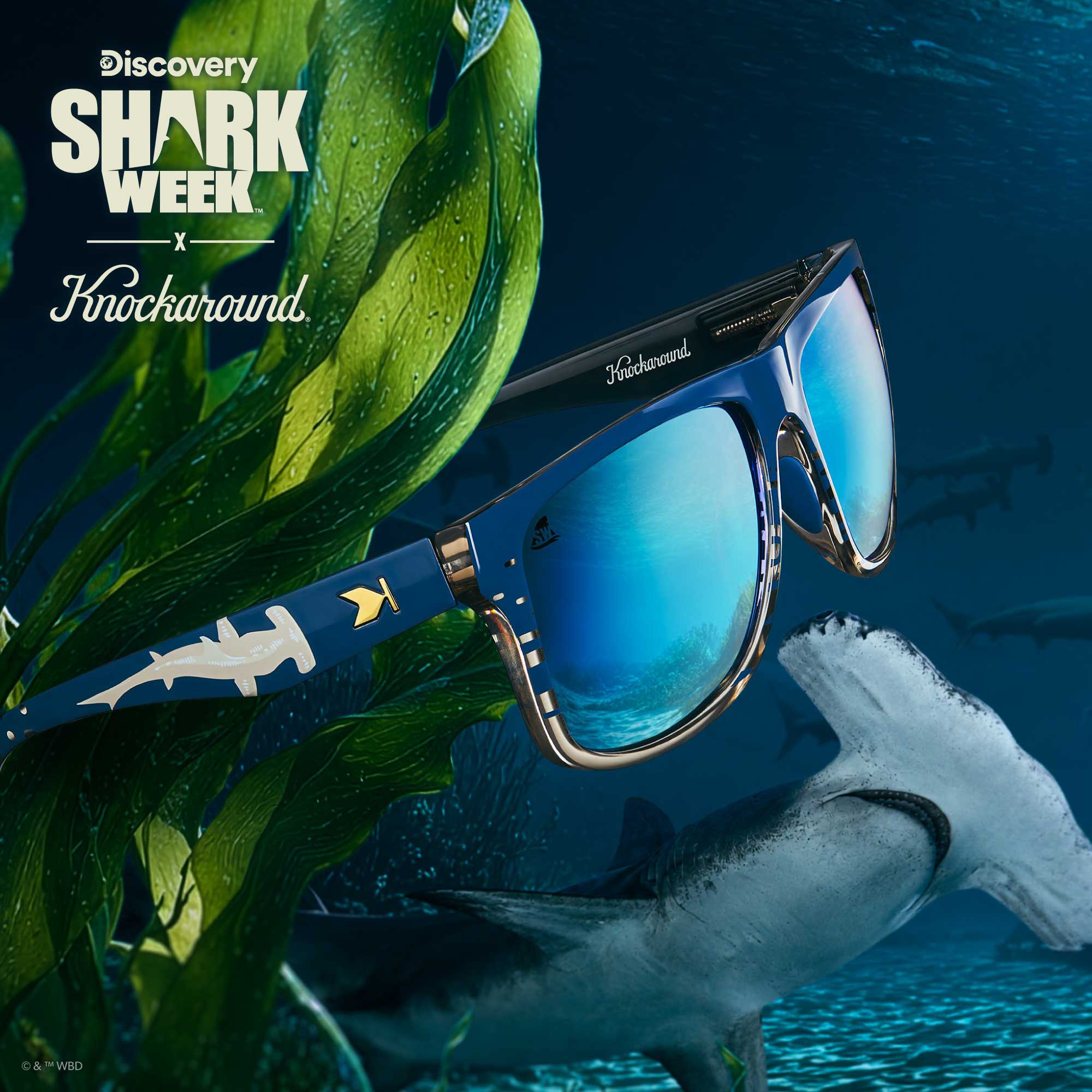 Shark Week Torrey Pines Sport 2026 - Image 3